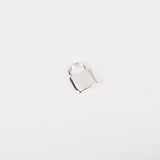 Charm - Pampille - Plaqué Argent - INTERCHANGEABLE