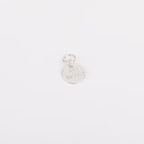 Charm - Pampille - Plaqué Argent - INTERCHANGEABLE
