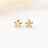 Boucles d'oreilles  - Clou - Acier inoxydable - LYS