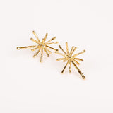 Boucles d'oreilles - Acier inoxydable - ALBANE